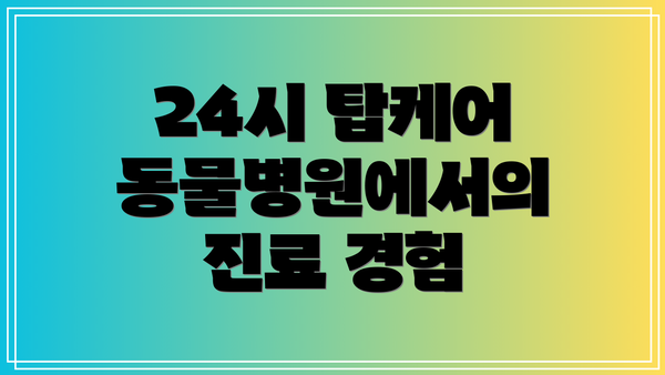24시 탑케어 동물병원에서의 진료 경험