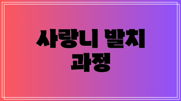 사랑니 발치 과정